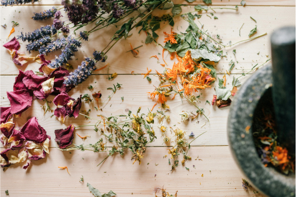 Dried herbs and essential oils for aromatherapy